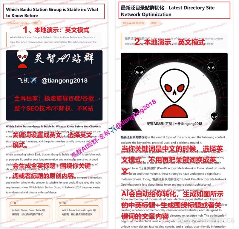 AI站群程序：未来互联网运营的新趋势